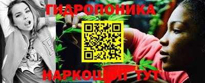 сатива Жуковский